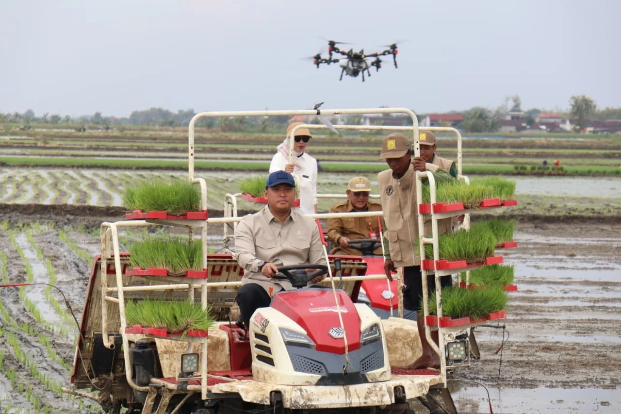 Tanam Padi di Lokasi Brigade Pangan, Wamentan Sebut Mekanisasi Menguntungkan