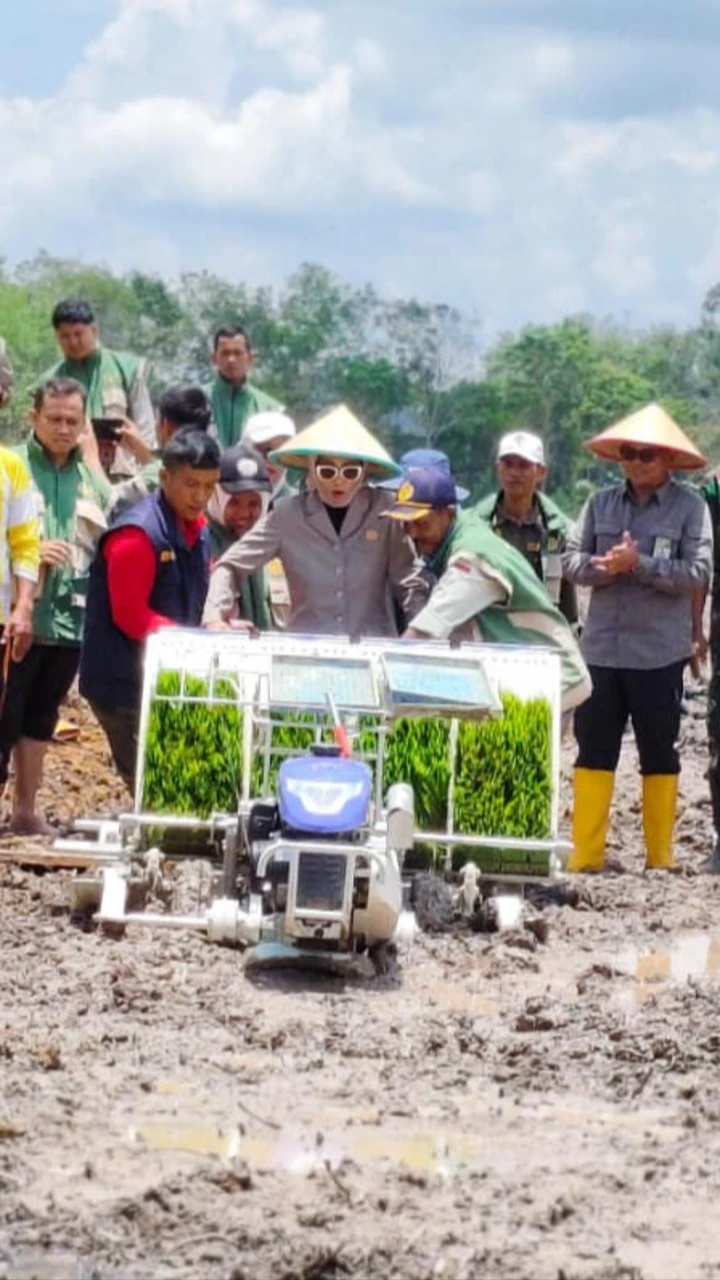 Tanam Serentak 
