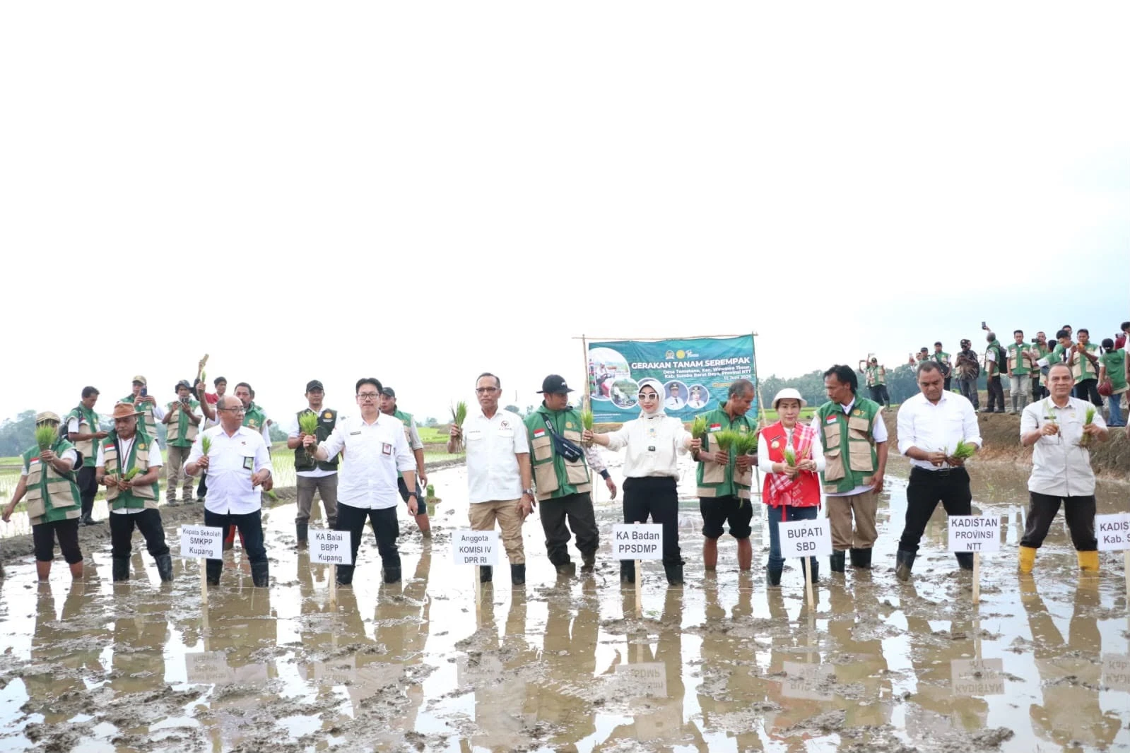 Optimalkan Oplah dan CSR, Kementan Perkuat Produksi Pangan Nasional