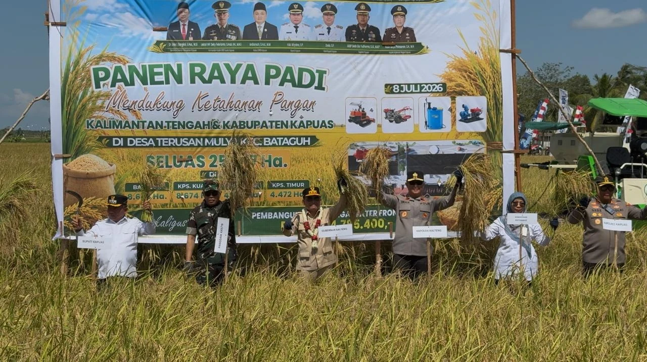 Panen Raya Bersama Gubernur Kalteng, Sinergi Pusat-Daerah Jaga Swasembada Pangan Berkelanjutan