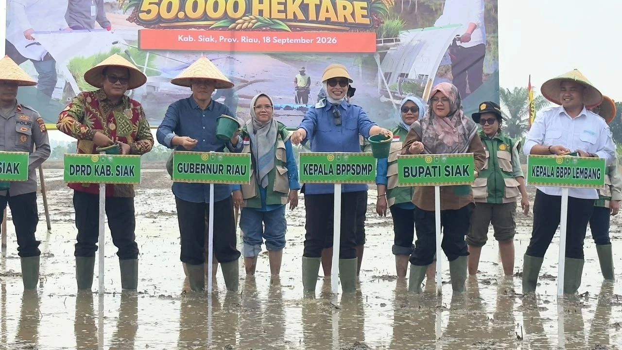 Kementan Percepat Tanam 50.000 Hektare, Dorong Peningkatan IP dan Antisipasi El Nino