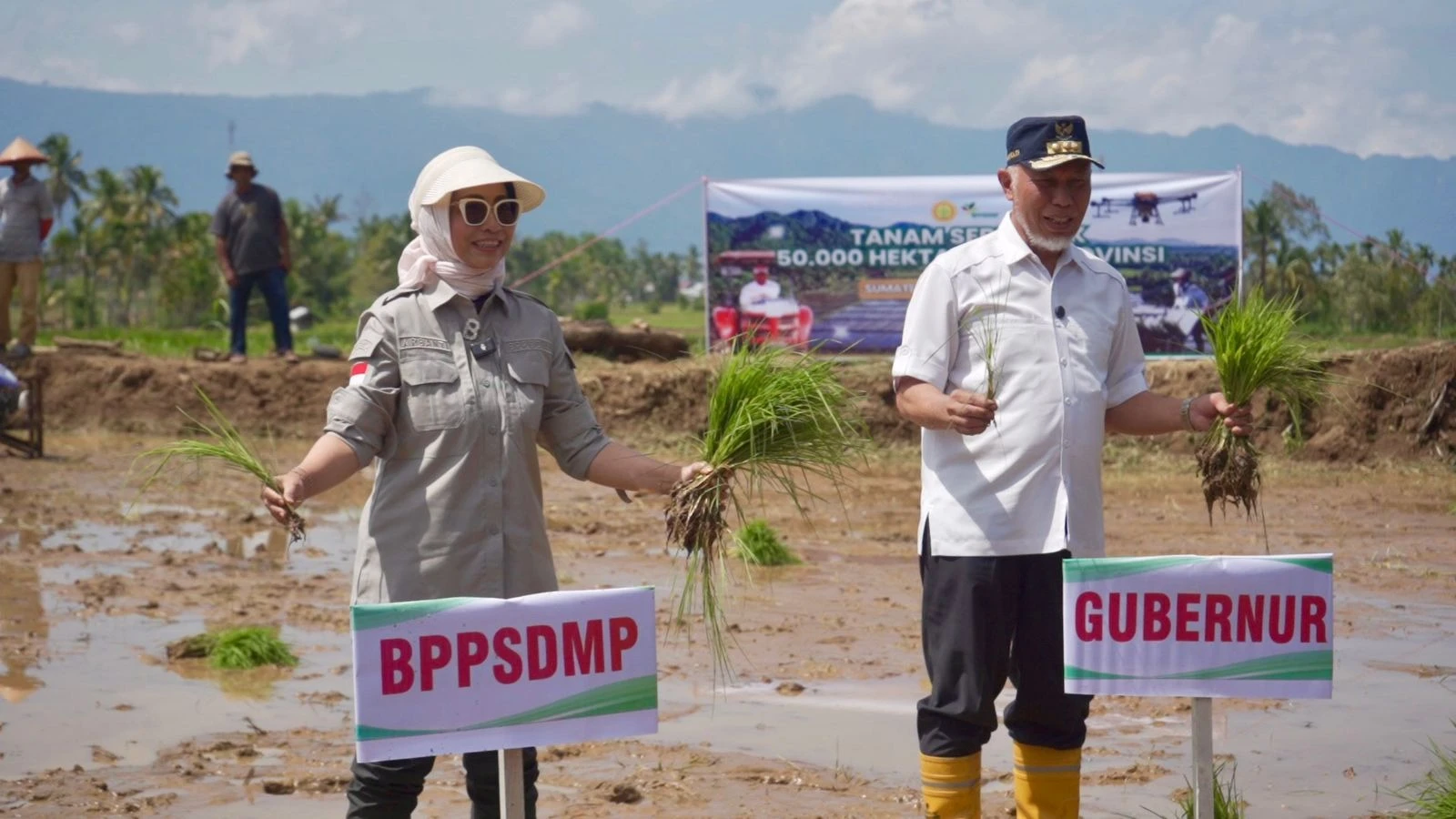 Tanam Serempak padang