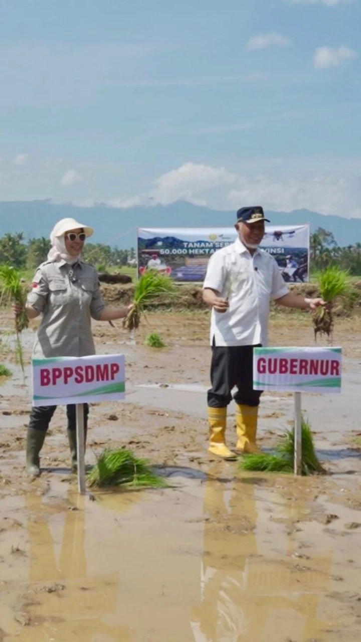 Tanam Serempak padang