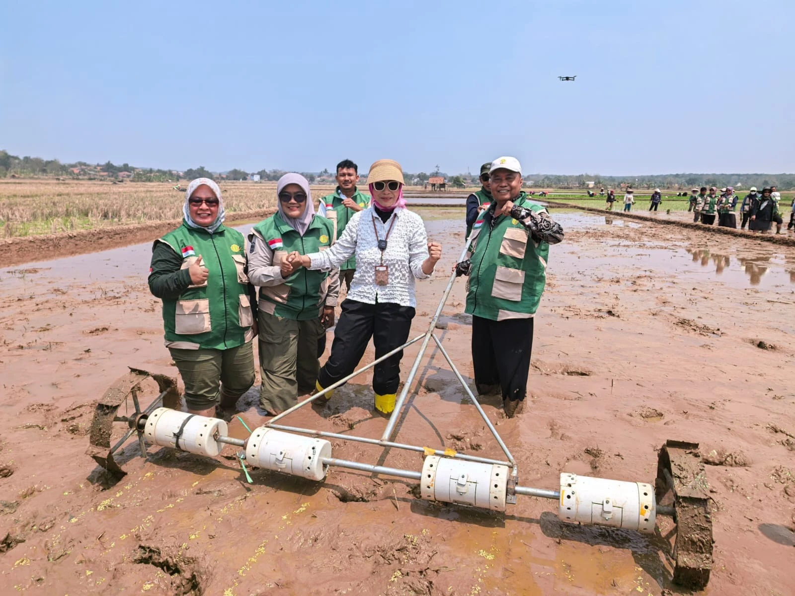 Tanam Serempak Tabela