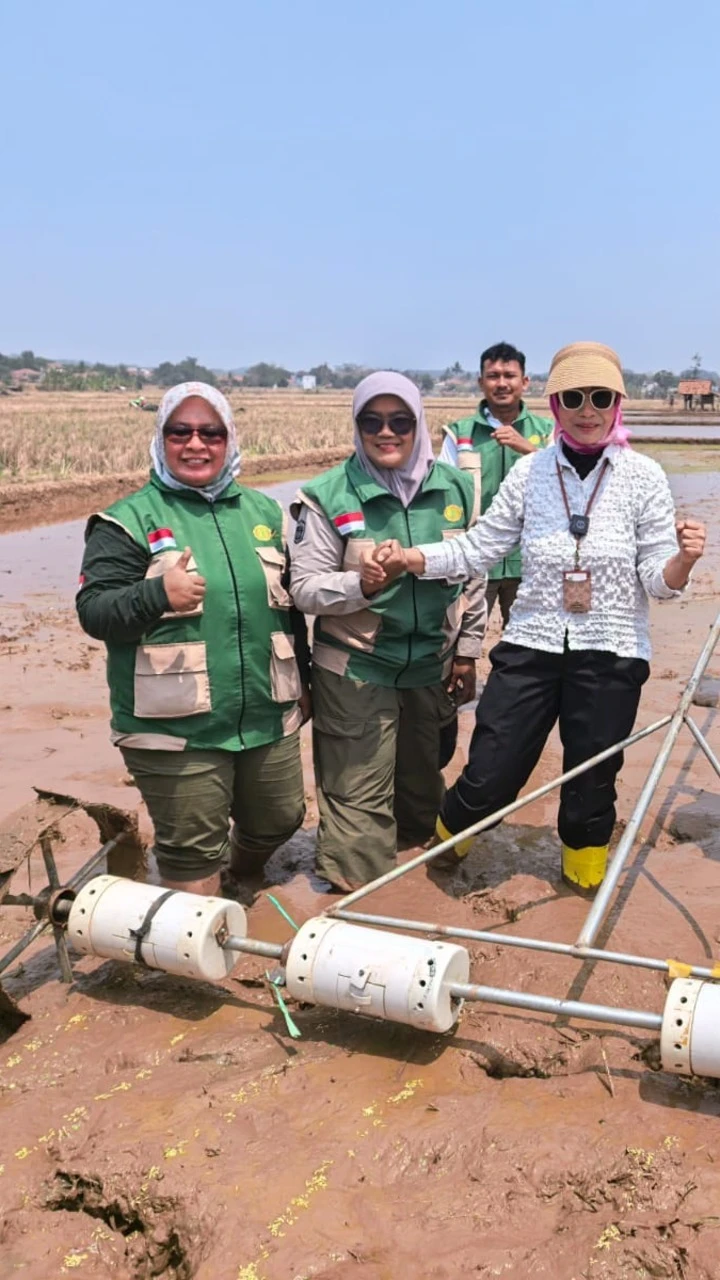 Tanam Serempak Tabela
